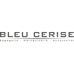 logo Bleu cerise CC Carrefour Puget