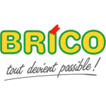 logo Brico DENDERMONDE