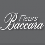 logo Baccara