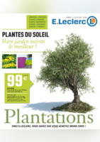 Plantations - E.Leclerc