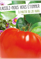 Le mois de l'innovation végétale - Truffaut