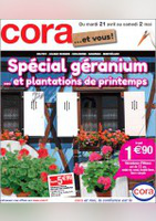 Spécial géranium et plantations de printemps ! - Cora