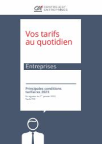 Prospectus Cr&eacute;dit Agricole ILE DE SEIN : Enterprises / Vos Tarifs au Quotidien