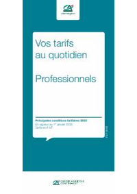 Prospectus Agence Crédit Agricole LE PONT DE MONTVERT : Professionels / Vos Tarifs au Quotidien