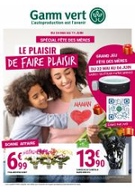 Prospectus Gamm vert : Fete des meres