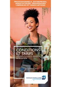 Prospectus Banque Populaire SAILLAGOUSE : Brochure-tarifaire-pro-2023