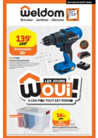 Prospectus Weldom HESINGUE : LES JOURS WOUI ! &Agrave; CES PRIX TOUT EST PERMIS