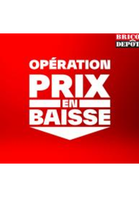 Prospectus Brico Dépôt SAINTES - SAINT GEORGES DES COTEAUX : Operation prix en baisse