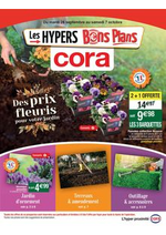 Promos et remises  : Des prix fleuris pour votre jardin