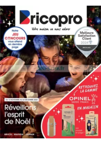 Prospectus Bricopro CASTELSARRASIN : Réveillon l'esprit de Noël