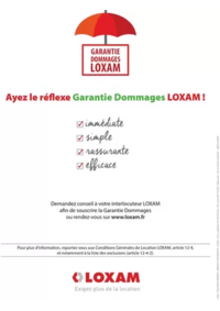 Prospectus Loxam SAINT-GENIS-POUILLY : Loxam Garantie dommages