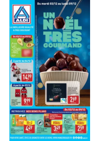 Prospectus Aldi Alençon 223 Rue des Tisons : Un Noël trés gourmand