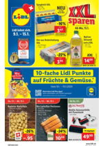 Prospectus Lidl : LIDL AKTUELL - DE