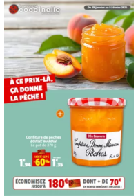 Prospectus Coccinelle Supermarché BUCHY : À CE PRIX-LÀ, ÇA DONNE LA PÊCHE !