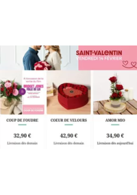 Prospectus Florajet ASPET : Livraison bouquet de fleurs Saint Valentin