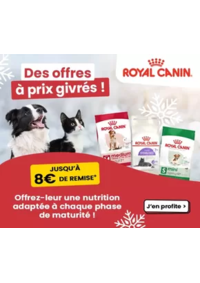 Prospectus Animalis Vannes : Des offres à prix givrés !