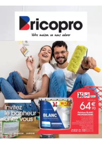 Prospectus Bricopro AIRVAULT : Brico Pro Multithèmes 1 - 2025