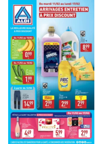 Prospectus Aldi Bar-sur-Aube : ARRIVAGES ENTRETIEN À PRIX DISCOUNT