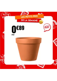 Prospectus La Foir'Fouille PETITE FORET : Semez des fleurs, des aromates… et récoltez (aussi) des compliments !