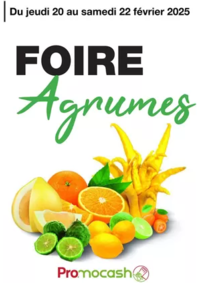 Prospectus Promocash Thonon : Foire Agrumes