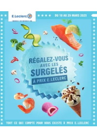 Prospectus E.Leclerc VENDOME : SURGELES - DIGITALE - MIXTE