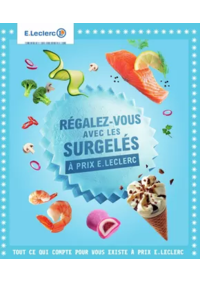 Prospectus E.Leclerc LE NEUBOURG : SURGELES - DIGITALE - MIXTE