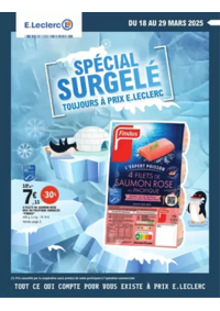 Prospectus E.Leclerc : SURGELES - DIGITALE - MIXTE