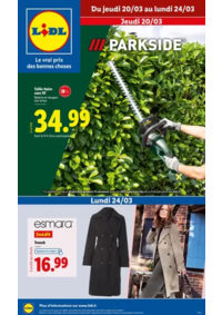 Prospectus Lidl TOURS : Retrouvez tout l'essentiel pour entretenir vos espaces verts chez Lidl