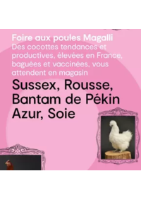 Prospectus Coté Nature Pacy : Les produits de saisons sont évidemment mis en avant. Rendez-vous chez Côté Nature