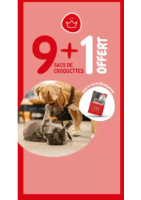 Prospectus Médor et compagnie Epinal : 9 + 1 offert
