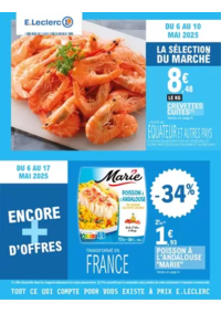 Prospectus E.Leclerc SAINT NICOLAS DE REDON : TRAFIC POUVOIR ACHAT 6 - MIXTE