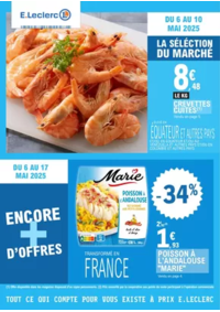 Prospectus E.Leclerc LANNION 8 ROUTE DE PERROS GUIREC : TRAFIC POUVOIR ACHAT 6 - MIXTE