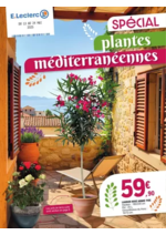 Prospectus E.Leclerc : PLANTES MEDITERANEENNES