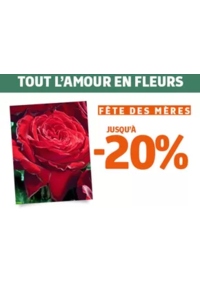 Prospectus Jardiland NICE : Notre offre végétal spéciale fête des mères