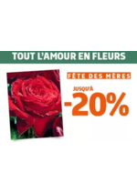 Promos et remises  : Notre offre végétal spéciale fête des mères