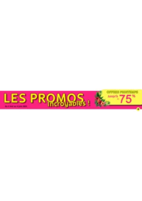 Prospectus Bleu cerise Plan de campagne  : Les promos incroyables !