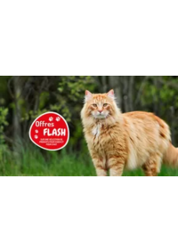 Prospectus Médor & Compagnie Chaponost : Les offres FLASH