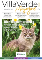 Prospectus Villaverde : Bien les comprendre