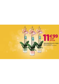 Prospectus Delbard Varades : Les promotions sont là !