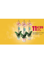 Promos et remises  : Les promotions sont là !