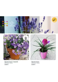 Prospectus Le Jardin des Fleurs SALLANCHES : Astro Plantes : Gémeau