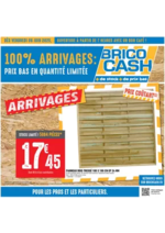 Prospectus Brico Cash : C’est l’anniversaire Brico Cash, venez en profiter !