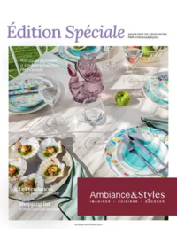Prospectus AMBIANCE & STYLES Avranches : Édition Spéciale