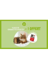 Prospectus Médor & Compagnie Chasseneuil-du-Poitou : 9 sacs de croquettes ou de litière achetés, le 10ème offert