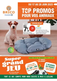 Prospectus Brico E.Leclerc PARTHENAY : Trafic Animalerie 6