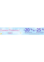 Prospectus Disney Store : Économies Printanières !
