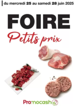 Promos et remises  : Foire petits prix