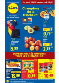 Prospectus Lidl ST THIBAULT DES VIGNES : Faites un max d'économies chez Lidl avec une large sélection de produits en format XXL !