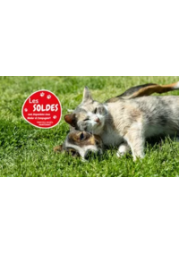 Prospectus Médor et compagnie Terville : Les soldes sont là !!