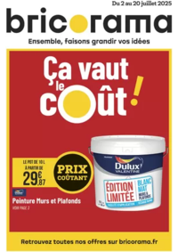 Prospectus Bricorama LYON : Ça vaut le cout!